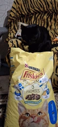 Сухий корм Friskies для дорослих кішок з лососем та овочами 300 (г) фото від покупців 12