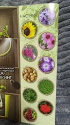 Набір для вирощування рослин HOME FLORARIUM, укр(HFL-01-01U) фото від покупців 2
