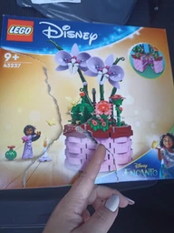 Конструктор Лего Дисней Принцессы Цветочный горшок Изабелы Lego Disney 43237 фото от покупателей 1