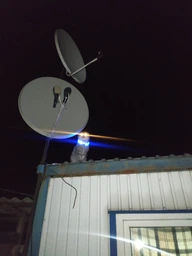 Світлодіодний, водостійкий LED нашийник для собак із зарядкою USB, 70 см, розмір L (рожевий) фото від покупців 1