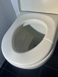 Сиденье - крышка для унитаза DURAVIT Starck 3 006389 микролифт фото от покупателей 1
