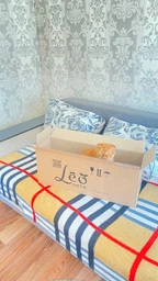 Кігтеточка - лежанка для котів "Leo Pets" M (66х18х25cм)