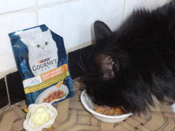 Упаковка влажного корма для кошек Purina Gourmet Perle Gravy Delight Мини филе в соусе с курицей 26 шт по 85 г (8445291188273) фото от покупателей 1