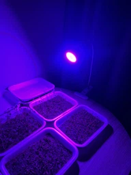 Фитолампа GreenHouse GR-8 з світильником-прищіпка фото від покупців 2
