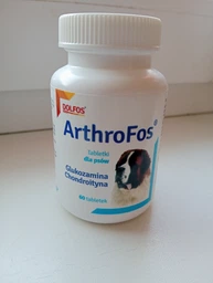 Dolfos (Долфос) ArthroFos хондропортектор для суставов и хрящей собак - 60 табл.