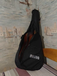 Чехол Fzone FGB41 Classic Guitar Bag
