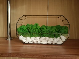 Моссариум MiNature Moss со стабилизированным мхом ягель норвежский