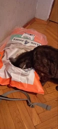 Сухий корм з куркою Club 4 Paws Клуб 4 Лапи для стерилізованих котів 2 кг (4820083909276) фото от покупателей 7