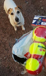 Мячи для большого тениса Babolat Red Felt X3 501036/113 3 шт