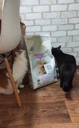 Сухий корм BonaCibo Cat Adult Light & Sterilized для стерилізованих кішок, 5 кг