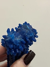 Дентал кістка іграшка зі смаком курки Nylabone DentalBone Moderate Chicken M для собак до 16 кг (18214812807) фото від покупців 1