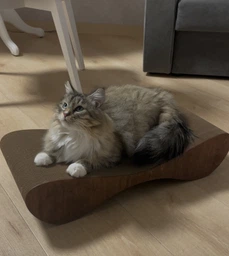 Кігтеточка з картону посиленого з дерев'яним фасадом Cat Joy Bionica Beige Wood 63х14х29 см фото від покупців 4