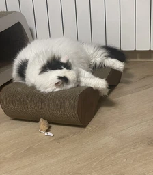 Кігтеточка з картону посиленого з дерев'яним фасадом Cat Joy Bionica Beige Wood 63х14х29 см фото від покупців 3