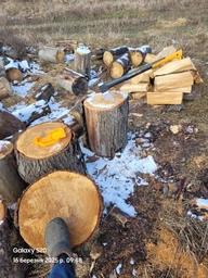 Топор-колун Fiskars Х25 XL (1015643/122483) фото от покупателей 4