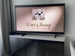 Телевизор Samsung QLED 43" QE43LS03DAUXUA фото от покупателей 5