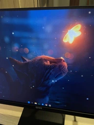 Монітор 24.5" QUBE Overlord G25F180 фото від покупців 4