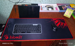 Игровая поверхность Bloody B-087S Control (4711421927482)