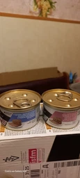 Упаковка влажного корма для взрослых кошек с чувствительным пищеварением Pro Plan Delicate, мусс с индейкой 24 шт. х 85 г фото от покупателей 1