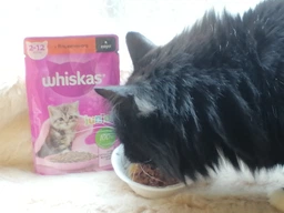 Вологий корм Whiskas для кошенят з яловичиною в соусі 84шт*85 г фото від покупців 2