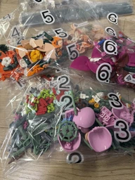 Конструктор LEGO Botanicals Милый розовый букет цветов 749 деталей (10342)