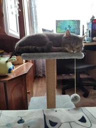 Домик когтеточка для кота дряпка для кошки Мур-Мяу КотэДж 34х34х67 см в джутовой веревке Коричнево-бежевый МТК фото от покупателей 18