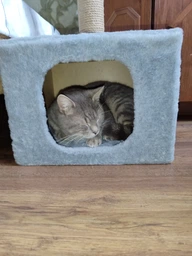 Домик когтеточка для кота дряпка для кошки Мур-Мяу КотэДж 34х34х67 см в джутовой веревке Коричнево-бежевый МТК фото от покупателей 17