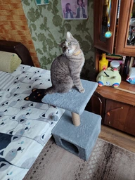 Домик когтеточка для кота дряпка для кошки Мур-Мяу КотэДж 34х34х67 см в джутовой веревке Коричнево-бежевый МТК фото от покупателей 16