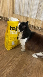 Сухий корм для дорослих котів HalfHalf із яловичиною 2 кг