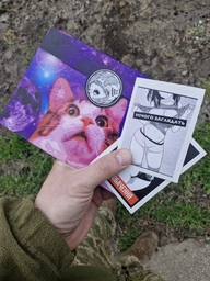 Стікер на авто, мото, ноутбук НІЧОГО ЗАГЛЯДАТЬ anime, 9х6 см. Вологостійка наклейка
