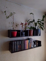 Полиця для книг Forte Erika 914x166x166 Дуб сонома фото від покупців 9