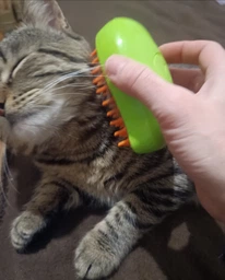 Паровая щетка расческа для вычесывания шерсти котов 3 в 1 Steamy Cat Brush Зеленая фото от покупателей 1