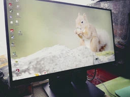 Монитор 21.5" ViewSonic VA220-H фото от покупателей 3