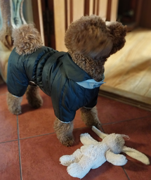 Комбінезон Collar AiryVest One для собак, розмір XS 30 Чорний (24131) фото від покупців 1
