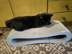 Кігтеточка для кішок картонна CLAW-A2сс 65x14x25+Подарунок іграшка для кота миша фото від покупців 8