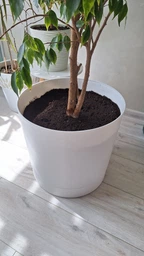 Горшок для цветов Prosperplast Tubo P 40 см. Белый (DPOP400-S449)