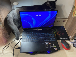 Ноутбук ASUS TUF Gaming A15 FA507NVR-LP086 (90NR0JK8-M00550) Jaeger Gray / 15.6" IPS Full HD 144 Гц / AMD Ryzen 7 7435HS / RAM 16 ГБ / SSD 512 ГБ / GeForce RTX 4060, 8 ГБ фото від покупців 4