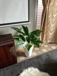 Декоративна штучна квітка - стреліція Planta Strelitzia тропічна рослина для декору дому / саду / офісу, 18 листків, 80 см, зелена "P" (98023103) фото від покупців 4
