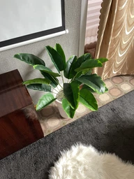 Декоративна штучна квітка - стреліція Planta Strelitzia тропічна рослина для декору дому / саду / офісу, 18 листків, 80 см, зелена "P" (98023103) фото від покупців 3
