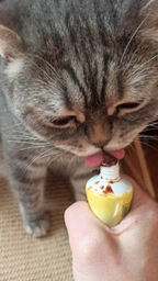 Фитопаста AnimAll VetLine для выведения шерсти для котов 100 г (4820150206642) фото от покупателей 6