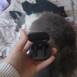 Навушники Bluetooth JBL WFlex TWS Black фото від покупців 1