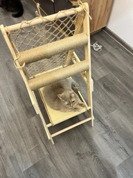 Когтеточка для котов Taotaopets Y0001 игровой комплекс гамак лазалка