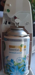 Змінний балон Air Wick Freshmatic Весняний настрій, 250 мл