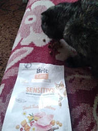 Корм сухой Brit Care Cat Grain Free Sensitive HDigestion Delicate Taste для котов с чувствительным пищеварением индейка и лосось фото от покупателей 5