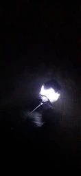 Светящийся аккумуляторный ошейник для собак / котов Light It с 3 режимами работы и зарядкой USB, размер S (40 см), зеленый (92545866) фото от покупателей 1