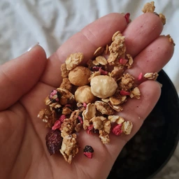 Протеїнова гранола Шоколад та Горіхи Gregory Mill Choco Nuts Protein Premium Granola, 1000 г GM-01-12 фото від покупців 1