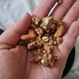 Протеїнова гранола Шоколад та Горіхи Gregory Mill Choco Nuts Protein Premium Granola, 1000 г GM-01-12 фото від покупців 1