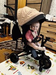 Велосипед дитячий Qplay Nova Niello Tricycle Складаний Триколісний з батьківською ручкою Red (S700-12Nova+EvaRed) фото від покупців 1