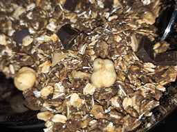 Набір граноли з протеїном Power Protein 4 Nuts, Wild Berries та Choco Nuts, 3000 г Gregory Mill GG-10-508 фото від покупців 1