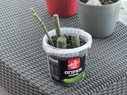 Керамзит Biovita дрібний 4-8 мм, 5 л (60400) фото від покупців 2