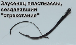 Колонний вентилятор Philips CX5535/11 фото від покупців 3